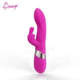 Vibration Cute Dual Rabbit Sex Toys